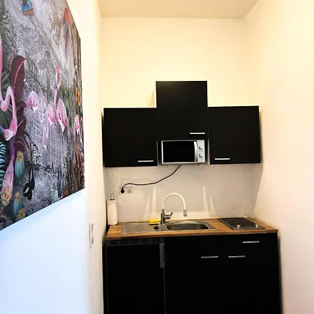 2 Zkb In Buga - Küche - Parken * Mannheim